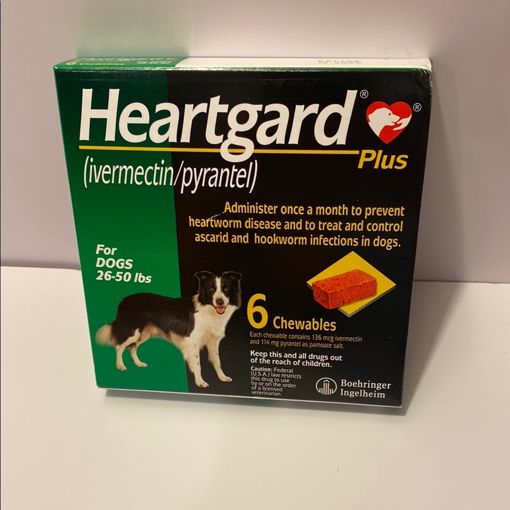 Plus Chewables for Dogs - Green